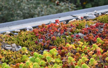 the cost of Forton green roof installation