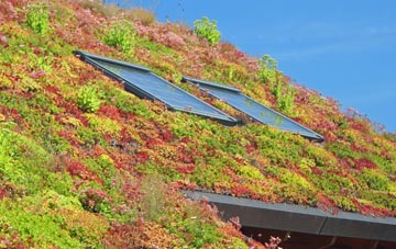 Forton living roof systems