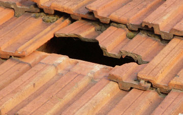roof repair Forton