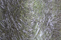 Forton fibreglass roof work