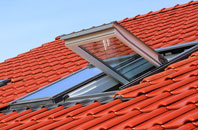 Forton roof window